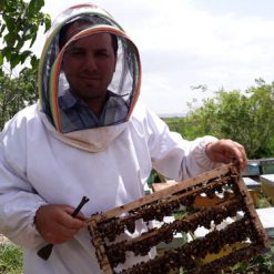 زنبوردار ایران تولید کننده عسل