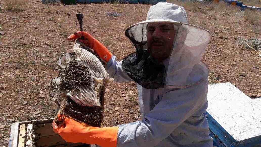 عسل نجف آباد 