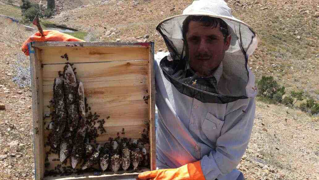 عسل طبیعی نحف آباد اصفهان