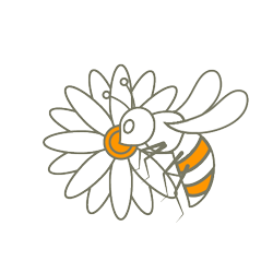 زنبورعسل